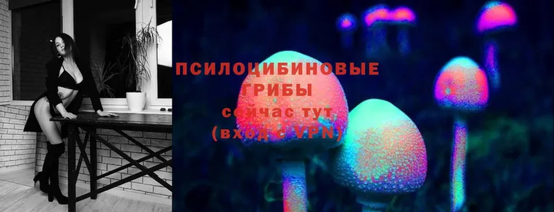 Псилоцибиновые грибы MAGIC MUSHROOMS  дарк нет формула  Болохово 